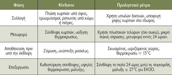 Οδικός χάρτης για ορθή ελαιοσυγκομιδή και tips για την προστασία του ελαιοκάρπου