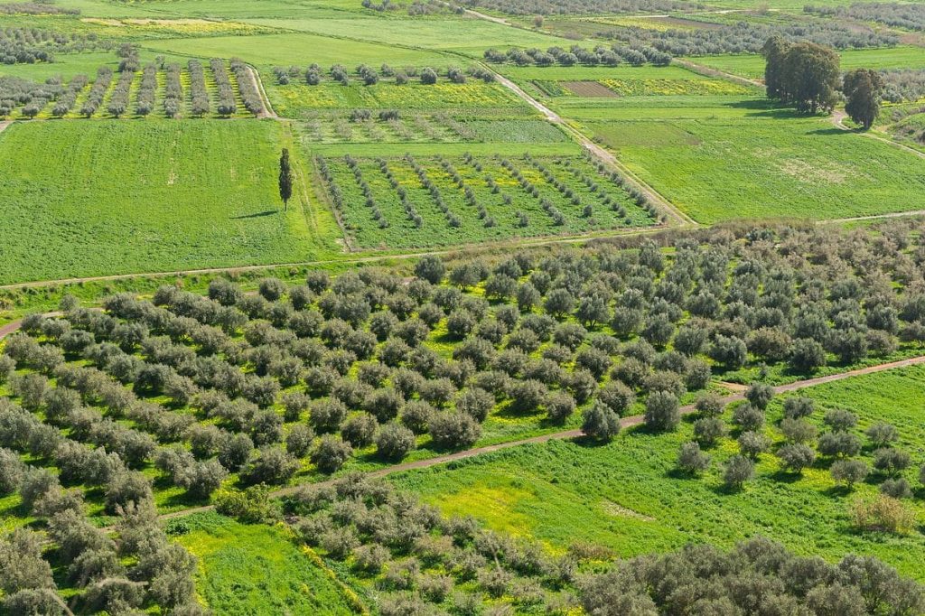 Ακυρώνει όλα τα νέα  Βιολογικά  ο Τσιάρας  μετά τους ελέγχους,  χάνουν και οι σωστοί  την επιδότηση 2024