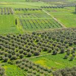 Ακυρώνει όλα τα νέα  Βιολογικά  ο Τσιάρας  μετά τους ελέγχους,  χάνουν και οι σωστοί  την επιδότηση 2024