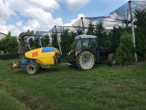 Οι κατάλληλοι ψεκασμοί αποτελούν το «κλειδί» κατά των μετασυλλεκτικών σήψεων του ακτινιδίου - Fresher