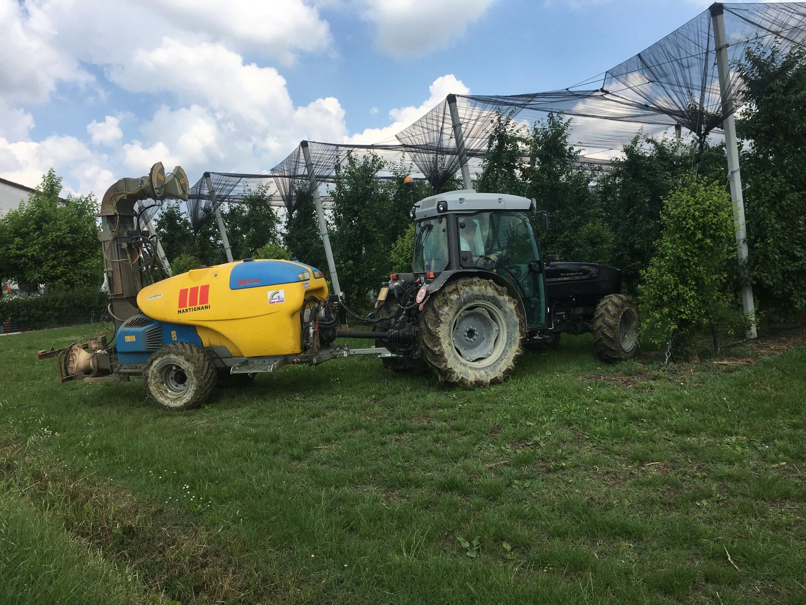 Οι κατάλληλοι ψεκασμοί αποτελούν το «κλειδί» κατά των μετασυλλεκτικών σήψεων του ακτινιδίου - Fresher