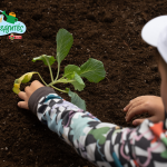 «Μπάρμπα Στάθης»: Παρουσίαση του νέου εκπαιδευτικού προγράμματος «Μικροί Καλλιεργητές»