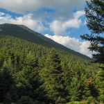 giorti-meliou-kai-karydiou-sto-roeino-mainalou-282619