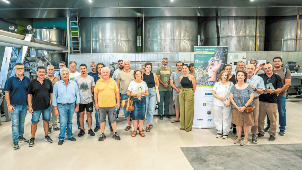 Μεσσηνία: Μονόδρομος η εκπαίδευση των ελαιοπαραγωγών