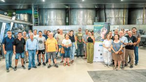 Μεσσηνία: Μονόδρομος η εκπαίδευση των ελαιοπαραγωγών