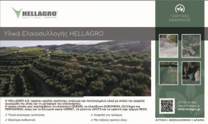 Τάχιστη έκθλιψη, logistics, έξυπνη πώληση, το τρίπτυχο της επιτυχίας στο ελαιόλαδο - Ελαίας Καρπός