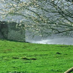 Πιστοποίηση ORA για το βιολογικό αγρόκτημα ΑΝΟΠΑΙΑ