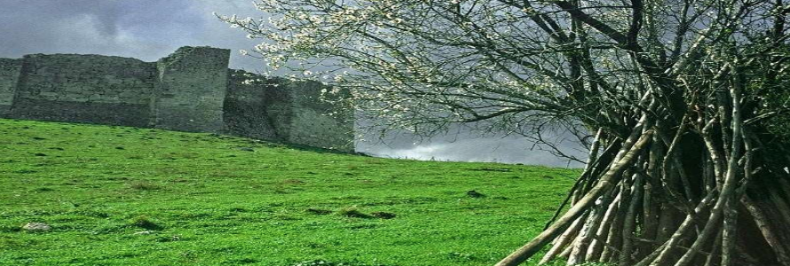 Πιστοποίηση ORA για το βιολογικό αγρόκτημα ΑΝΟΠΑΙΑ