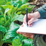 Φορολογικοί έλεγχοι στον αγροτικό τομέα: Οδηγός προετοιμασίας για τους παραγωγούς