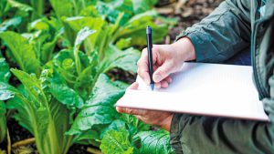 Φορολογικοί έλεγχοι στον αγροτικό τομέα: Οδηγός προετοιμασίας για τους παραγωγούς