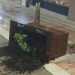 Αγρίνιο: «Ξέσπασμα» καταστροφής – Ο πεζόδρομος της Παπαστράτου έγινε πεδίο μάχης