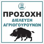 Δήμος Πετρούπολης: Τρόμος στους δρόμους – Προειδοποιεί ο Σίμος – Οι αγριόχοιροι είναι ανάμεσά μας