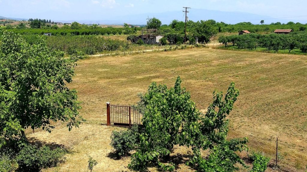 Νάουσα: Στον «αέρα» χιλιάδες στρέμματα αγροτικής παραγωγής;