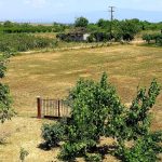 Νάουσα: Στον «αέρα» χιλιάδες στρέμματα αγροτικής παραγωγής;