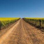 Διπλάσια χρήματα για μικρούς αγρότες: Η ΕΕ απλοποιεί τους κανόνες και μειώνει το όριο αποζημίωσης (15%)