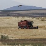 Κόκκαλης: «Σχέδια Βελτίωσης στο κενό: Η κυβέρνηση οδηγεί τους παραγωγούς σε οικονομική καταστροφή»