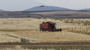 Κόκκαλης: «Σχέδια Βελτίωσης στο κενό: Η κυβέρνηση οδηγεί τους παραγωγούς σε οικονομική καταστροφή»