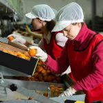 Με 546 αιτήσεις έκλεισε η Μεταποίηση, 872 εκατ. αιτούμενο ποσό