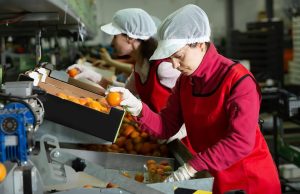 Με 546 αιτήσεις έκλεισε η Μεταποίηση, 872 εκατ. αιτούμενο ποσό