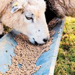 evlogia-tessera-simeia-elegchou-stin-perifereia-tis-peloponnisou-289363