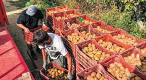 paratasi-eos-31-martiou-2026-gia-ti-metaklisi-ergaton-gis-300287