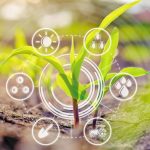 Ευρωπαϊκό Δίκτυο της ΚΑΠ: Από τη θεωρία στην πράξη η αγροτική καινοτομία μέσω των επιχειρησιακών ομάδων