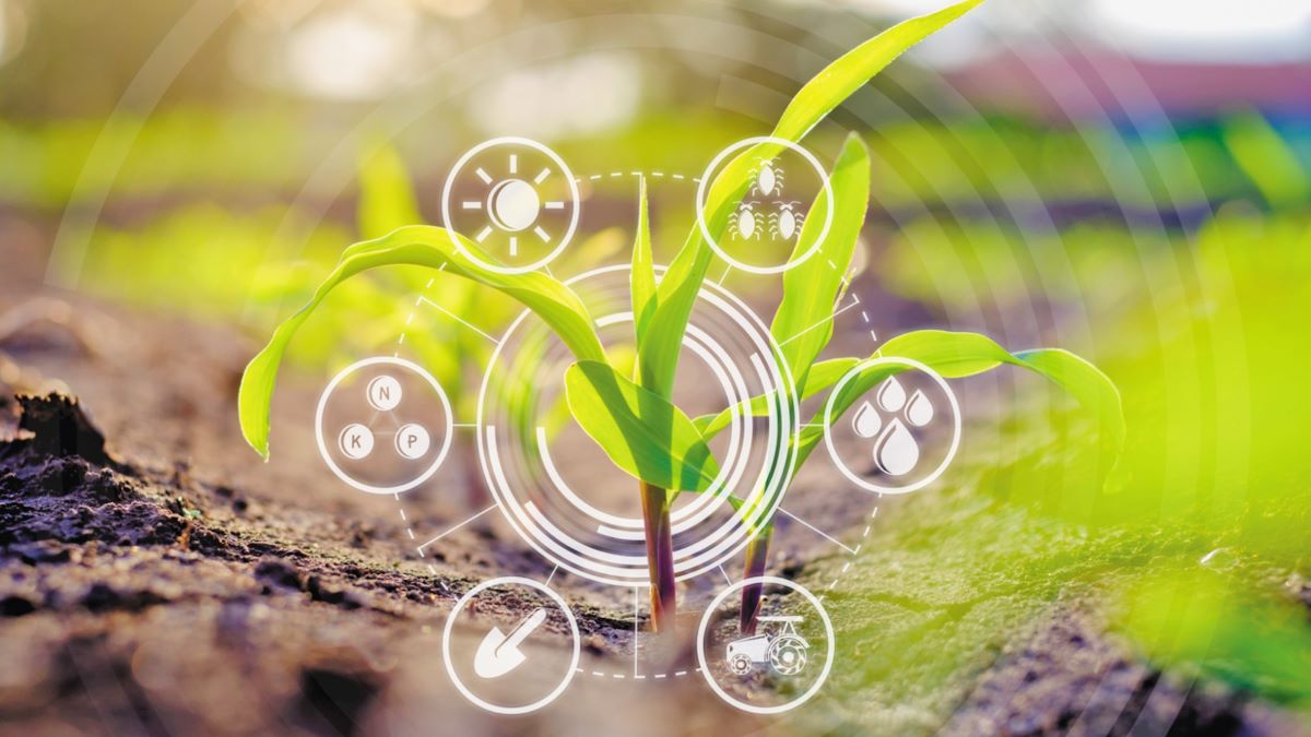 Ευρωπαϊκό Δίκτυο της ΚΑΠ: Από τη θεωρία στην πράξη η αγροτική καινοτομία μέσω των επιχειρησιακών ομάδων