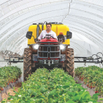 Ειδικεύονται στα θερμοκήπια τα προηγμένα Antonio Carraro SRG 7600 Infinity - Profi