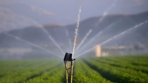 dimos-apokorona-anavathmisi-ardeftikou-me-50-exoikonomisi-sto-revma-130375