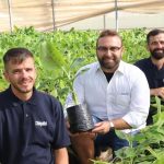 Η Chiquita ετοιμάζεται να πουλήσει για πρώτη φορά μπανάνες ιταλικής προέλευσης - Fresher