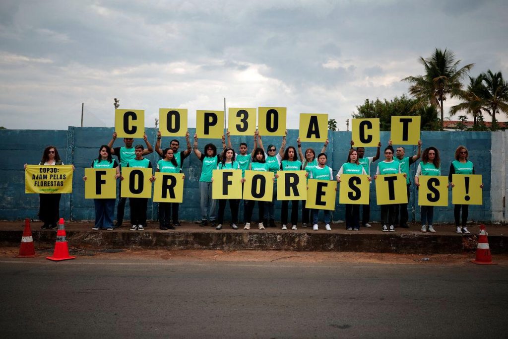 Διεθνής δημοσκόπηση Greenpeace: 9 στους 10 ζητούν προστασία των δασών για το κλίμα