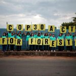 Διεθνής δημοσκόπηση Greenpeace: 9 στους 10 ζητούν προστασία των δασών για το κλίμα