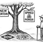 After 100 Years beside farmers, Pioneer sets its sights on the next century of agriculture