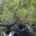 Τραυματίας από πτώση δέντρου λόγω βροχής – Πλημμύρες σε ράγες τραμ και ΣΕΦ