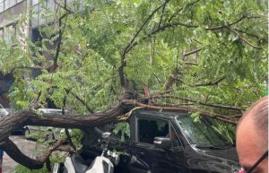 Τραυματίας από πτώση δέντρου λόγω βροχής – Πλημμύρες σε ράγες τραμ και ΣΕΦ