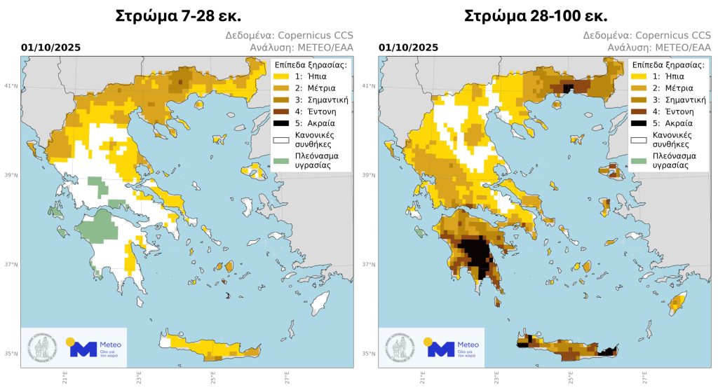 Υποφέρουν ξινά και ελιές λόγω ξηρασίας, βοήθησαν τις σπορές οι βροχές