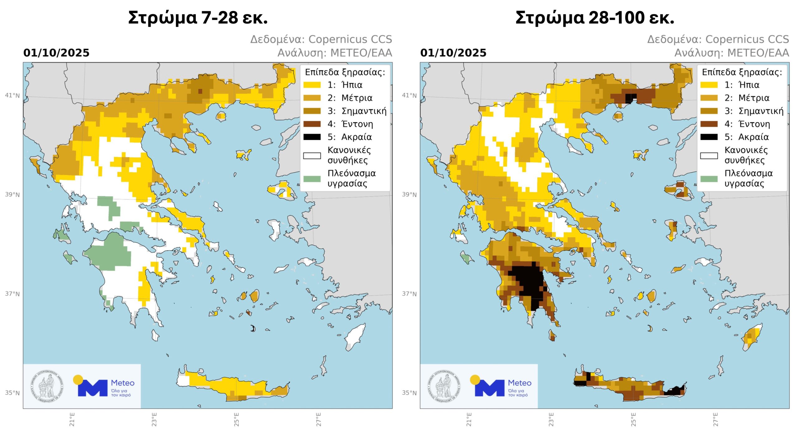 Υποφέρουν ξινά και ελιές λόγω ξηρασίας, βοήθησαν τις σπορές οι βροχές