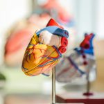 11 Οκτωβρίου: Ευρωπαϊκή Ημέρα Δωρεάς Οργάνων - Αυξήθηκαν οι εθελοντές δότες