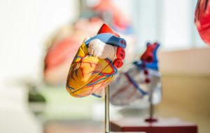 11 Οκτωβρίου: Ευρωπαϊκή Ημέρα Δωρεάς Οργάνων - Αυξήθηκαν οι εθελοντές δότες