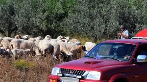 Ενισχύονται οι έλεγχοι αντί για lockdown, τα νέα μέτρα για την ευλογιά
