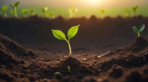 Η ΕΕ θεσπίζει πανευρωπαϊκό πλαίσιο για υγιή εδάφη έως το 2050