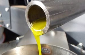 Ελαίας Καρπός