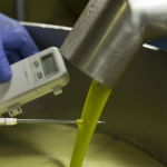 Ελαίας Καρπός