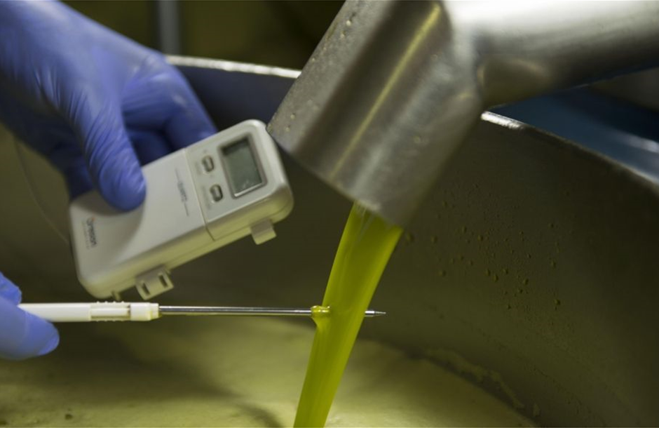 Ελαίας Καρπός