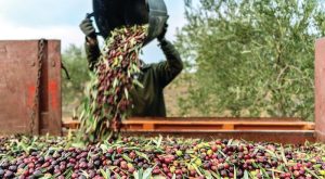 choris-paratasi-i-dynatotita-prosklisis-ergaton-gis-triminis-diarkeias-apo-trites-chores-278957