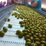 paremvasi-tis-peasoepe-gia-tin-evrythmi-leitourgia-ton-programmaton-oef-141872