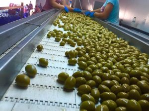 paremvasi-tis-peasoepe-gia-tin-evrythmi-leitourgia-ton-programmaton-oef-141872