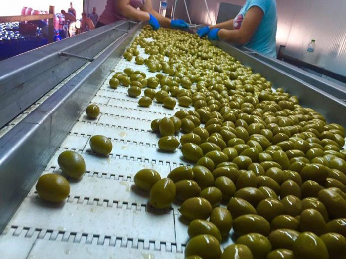 paremvasi-tis-peasoepe-gia-tin-evrythmi-leitourgia-ton-programmaton-oef-141872