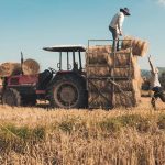 Παρατείνεται έως τις 31 Μαρτίου 2026 η διαδικασία μετάκλησης εργατών γης