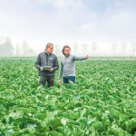 Syngenta και Heritable Agriculture ενώνουν τις δυνάμεις τους